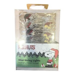 🌈 6/$60 NWT Peanuts Mini String Lights With Snoopy and Woodstock Battery Powered
